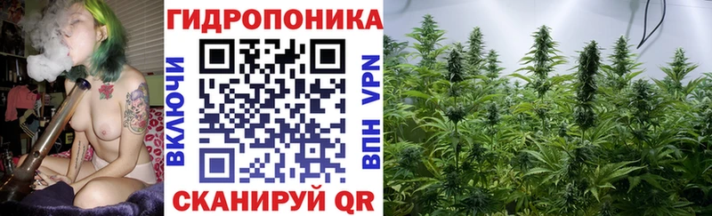 Бошки Шишки Ganja  Северская 